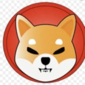 Порнозвезда: TEAMSTEE