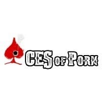 порно студии: Aces Of Porn