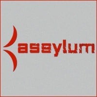 порно студии: Assylum