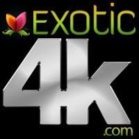 порно студии: Exotic4K