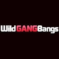 порно студии: Wild GangBangs